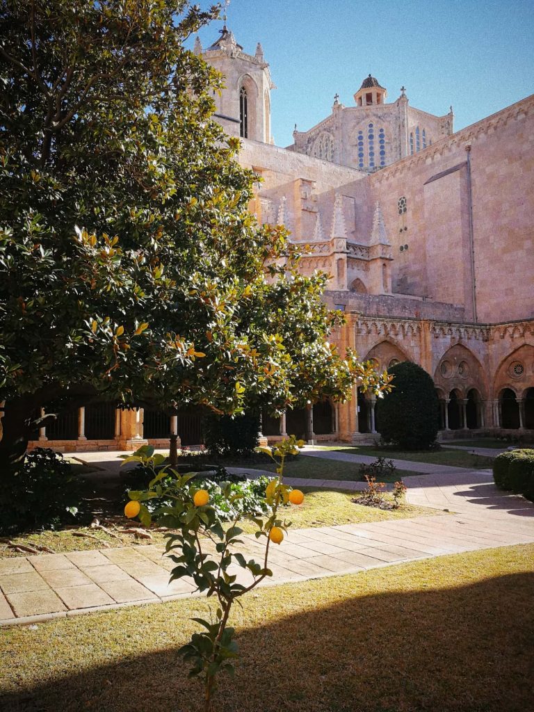 tarragona cathedral yard